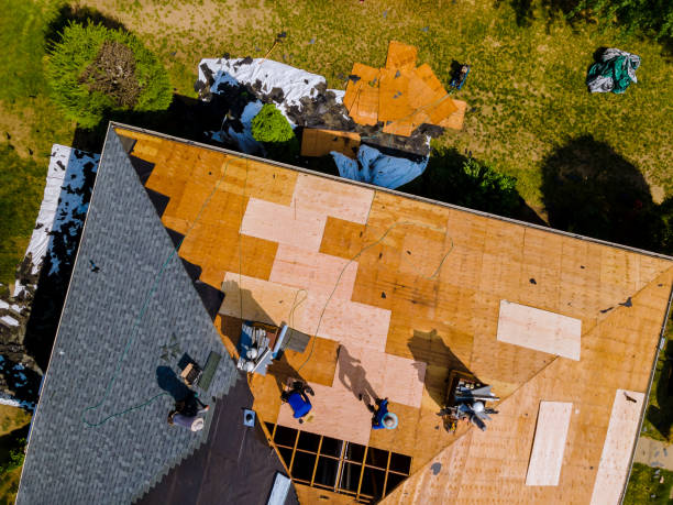 Best Emergency Roof Repair  in Pomona Park, FL