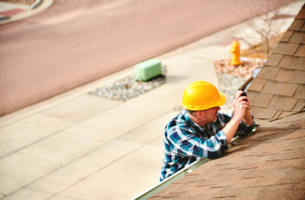 Best Roof Gutter Cleaning  in Pomona Park, FL