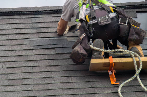 Best Storm Damage Roof Repair  in Pomona Park, FL